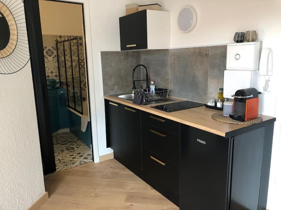 Studio Moderne, Terrasse Et Parking Romans-sur-Isere Ngoại thất bức ảnh
